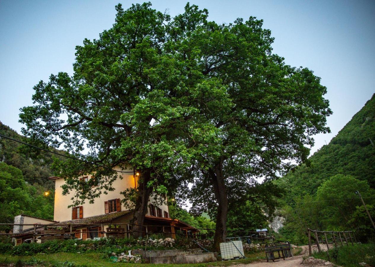 Cerreto di Spoleto Agriturismo Le Due Querce מראה חיצוני תמונה