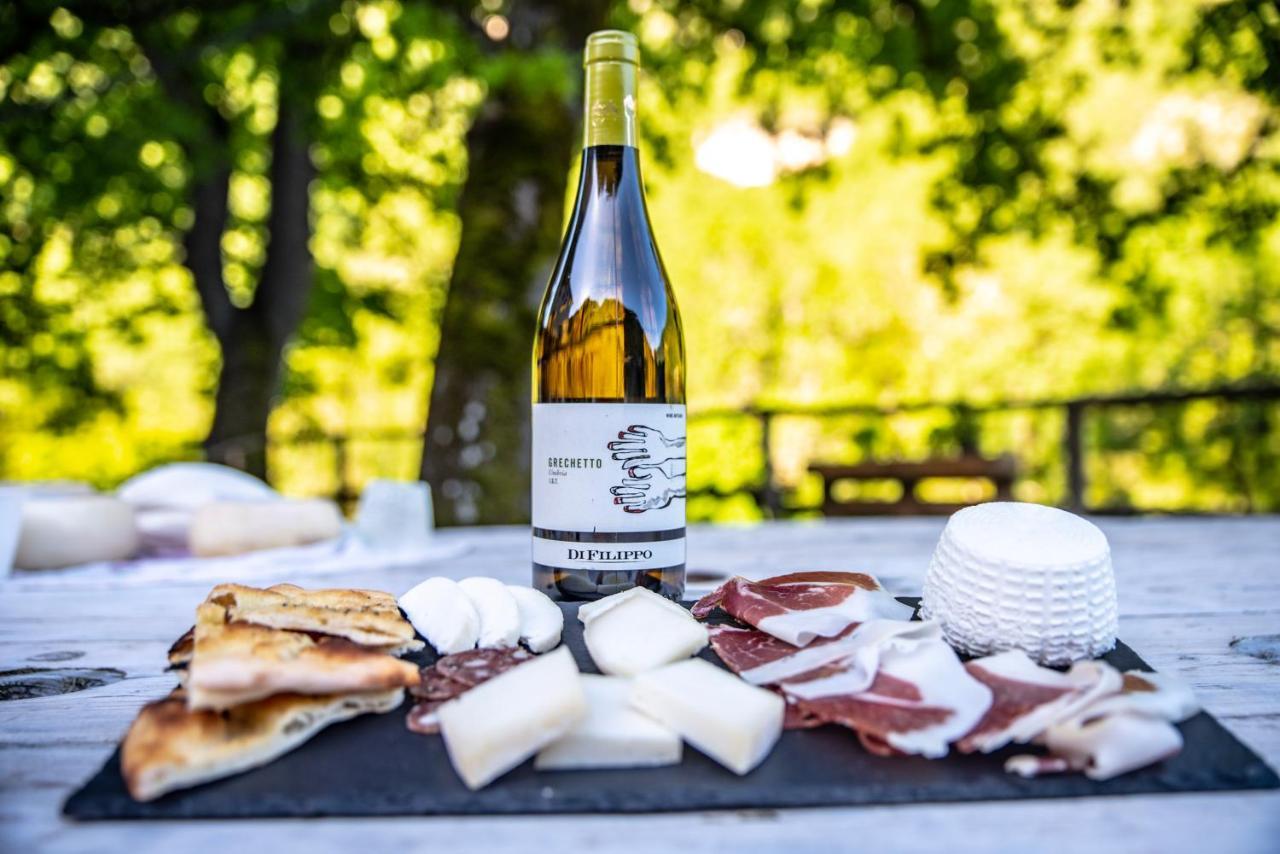 Cerreto di Spoleto Agriturismo Le Due Querce מראה חיצוני תמונה